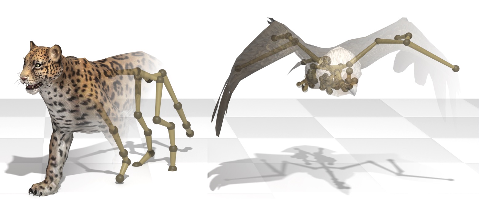 AnyTop: Character Animation Diffusion with Any Topology